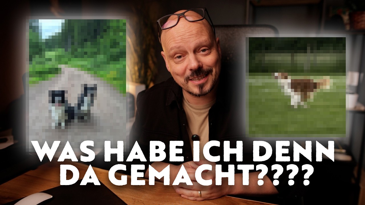 Ich schaue mir meine Hundefotos an – und erkläre, was schief lief