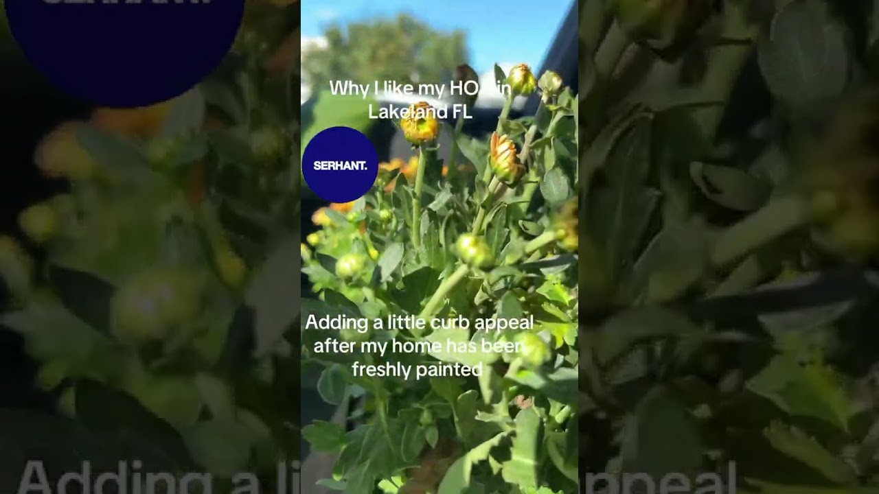 Why HOAs can be a good thing