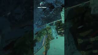BEST SNIPER HEAD SHOTS Part-3 | Sniper Ghost Warrior Contracts | Bosco Gaming