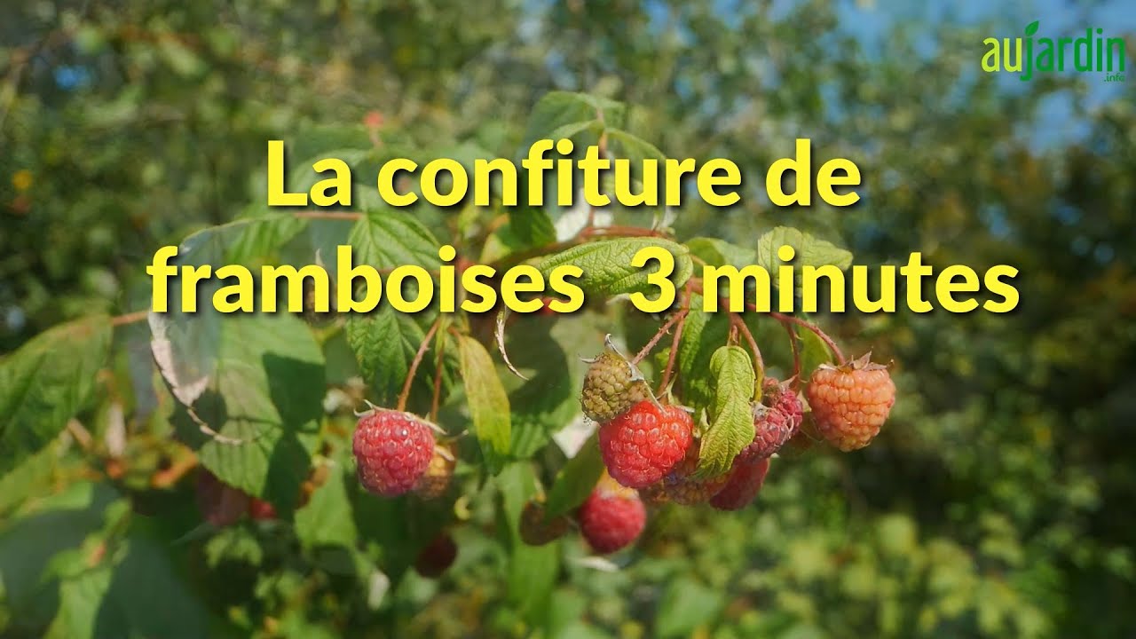 La CONFITURE de FRAMBOISES 3 MINUTES, une recette facile et rapide