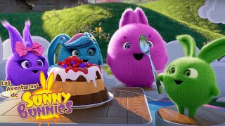 ¡Día de los tontos! | Las Aventuras de Sunny Bunnies | Dibujos para niños by Las Aventuras de Sunny Bunnies 62,733 views 1 month ago 1 hour, 2 minutes