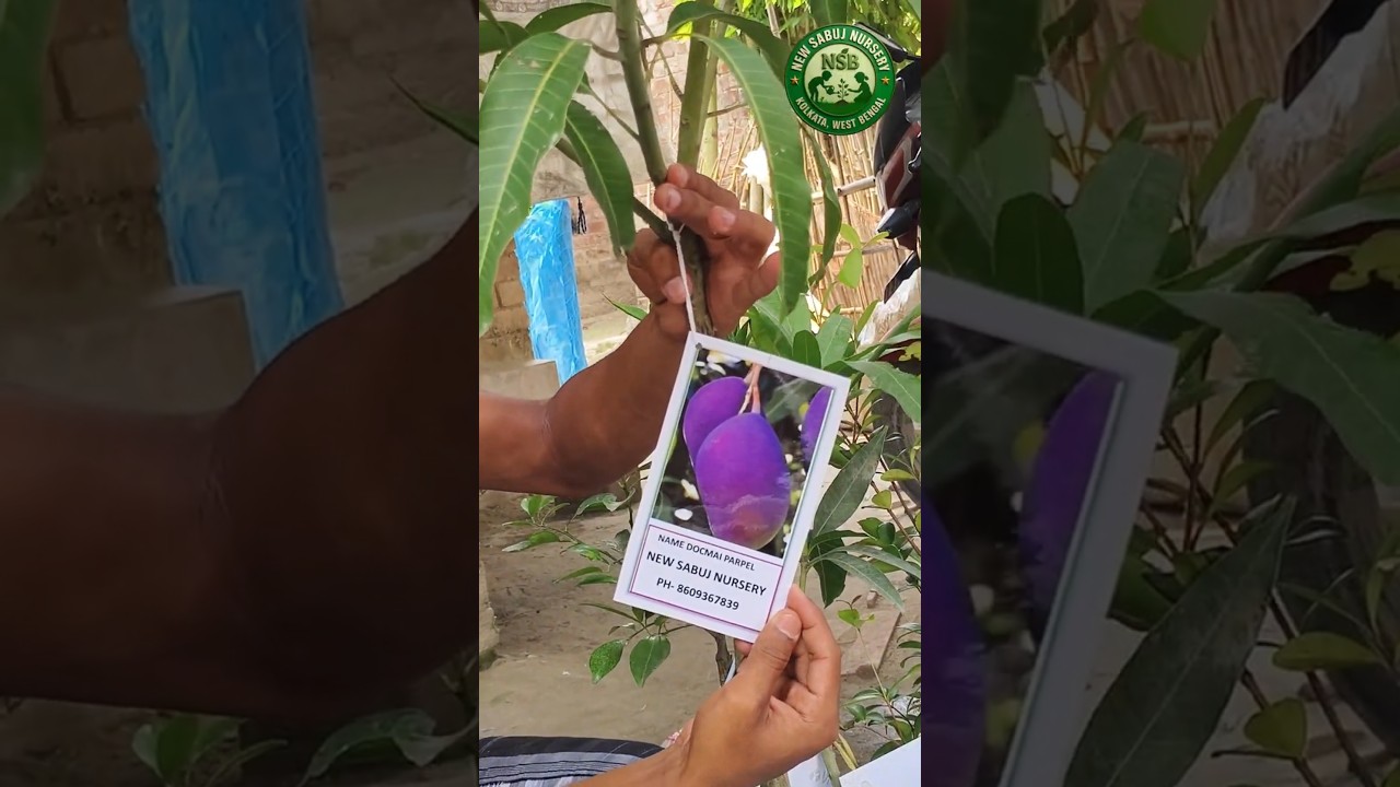 courier parcel packaging process 