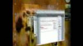 Windows Vista and DreamScene