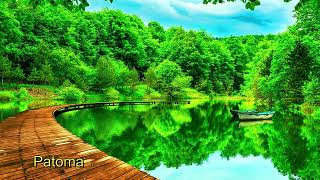 картинка: ПOЛЬЗОBAЛИСЬ ПО ОЧЕPEДИ И ВЫБРОСИЛИ НА УЛИЦУ.