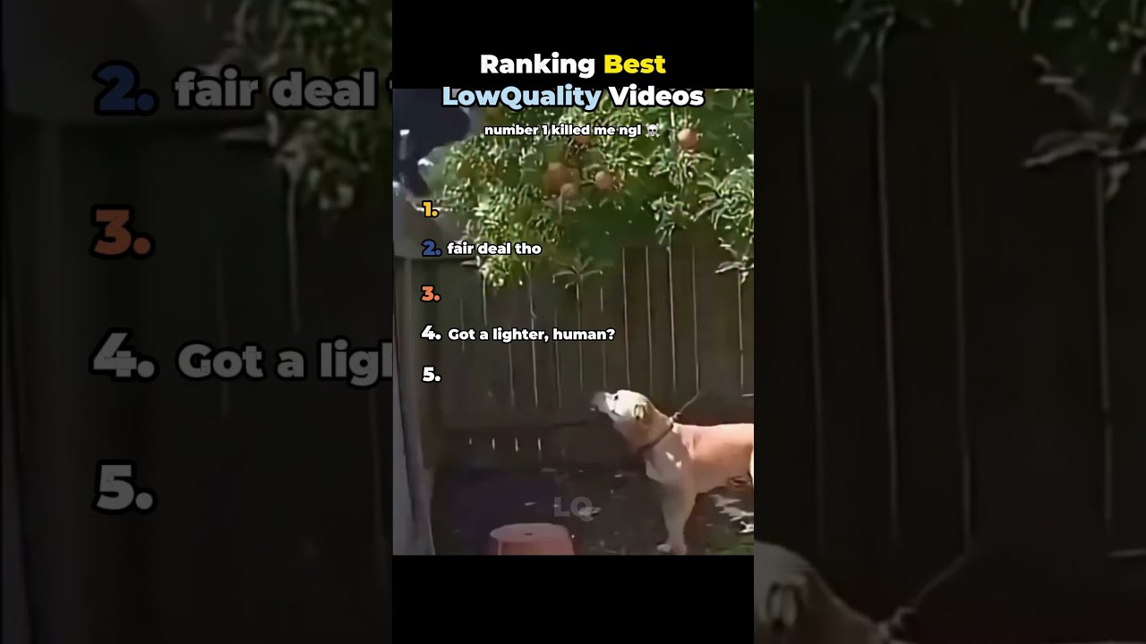 Never skip these Low Quality videos💀 (Ranked)