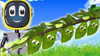 Five Little Leaves 🍃 + More Counting Songs for Kids | Robogenie