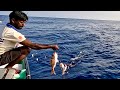 Hand Line Fishing at 300 Feet Deep for Rosy Snapper