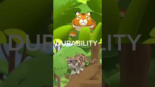 Clouded Leopard vs Tiger | #leothewildliferanger | @patrickbell7035