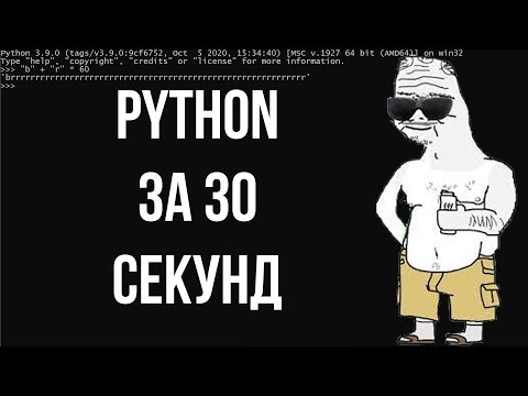 Вся суть программирования на Python