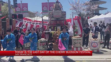 Sunday is the last day of the Cherry Blossom Festival in SF