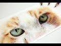 How to Draw Cat Eyes with Coloured Pencil | Realistic Drawing Tutorial