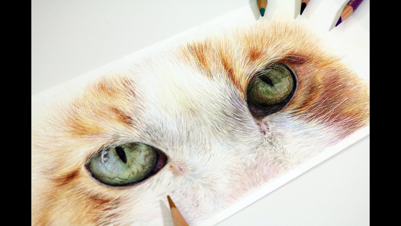 How to Draw Cat Eyes with Coloured Pencil | Realistic Drawing Tutorial