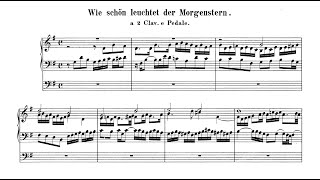 J. S. Bach: "Wie schön leuchtet der Morgenstern" BWV 739