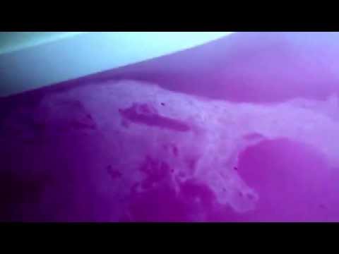 Explosion of pink