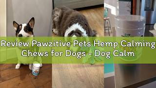Review Pawzitive Pets Hemp Calming Chews for Dogs - Dog Calming Chews for Anxiety Relief, Stress, Se