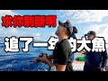 終於被我遇到了！什麼大魚讓我追了一整年？需要兩個大男人才拉得動！！