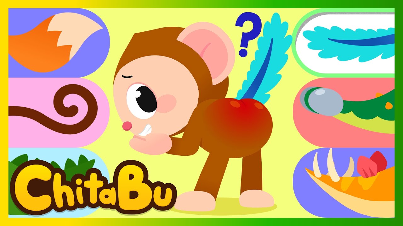 Chitabu Hits! 🎵 Top 3 das Canções Infantis Mais Queridas! 💕 | Cantigas & Músicas Infantis | #ChitaBu