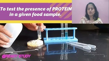 Components of food| Part 2 | Class 6| Fats and Proteins