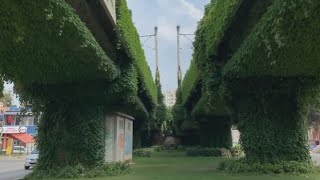 Gececi Tayfaa Uyumayanlar