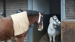 Reaseheath Croft End Christmas video.