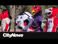 City of Calgary offering free sports programs downtown for kids