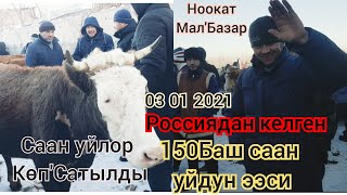 Ноокат Мал'Базары СаанУйлар Бооз'Уйлар АРЗАНДАП кетти/Даагы Базар'Тушот дейби