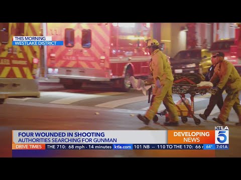 4 men hospitalized, 2 critically injured in LA shooting