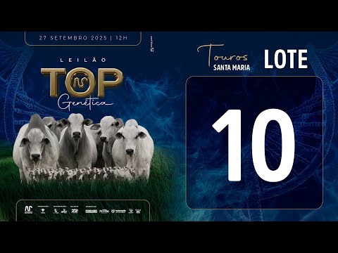 LOTE 10 FSM A2606