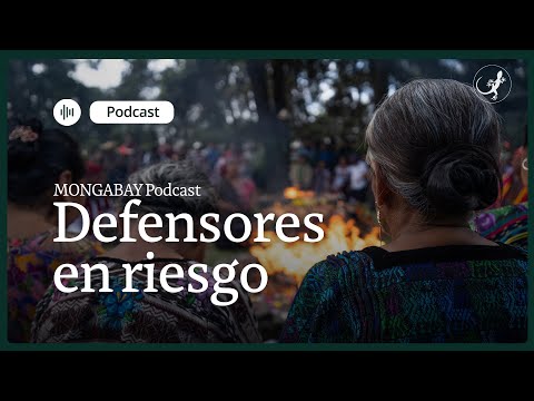 ¿Cuál es el país con el mayor número de defensores ambientales asesinados en 2024?