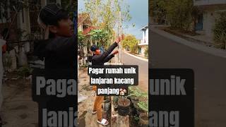 Pagar halaman rumah unik,dari lanjaran kacang panjang🏘🌱 #tips #garden #shorts