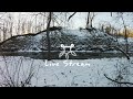 Honeypaw Live Stream #56 - Plans