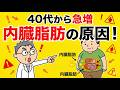 思わず誰かに話したくなる健康雑学【40代から急増する内臓脂肪の本当の原因】多くの人が知らない体の変化