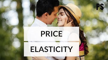 Learn Price Elasticity of demand in 2 minutes  (animated video) - Professor Savings