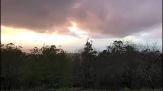 VID 20230321 WA0004