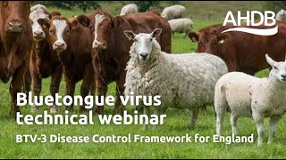 BTV-3 Disease Control Framework for England