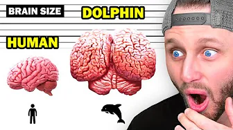 Amazing Facts That Will Blow Your Mind 🧠❗