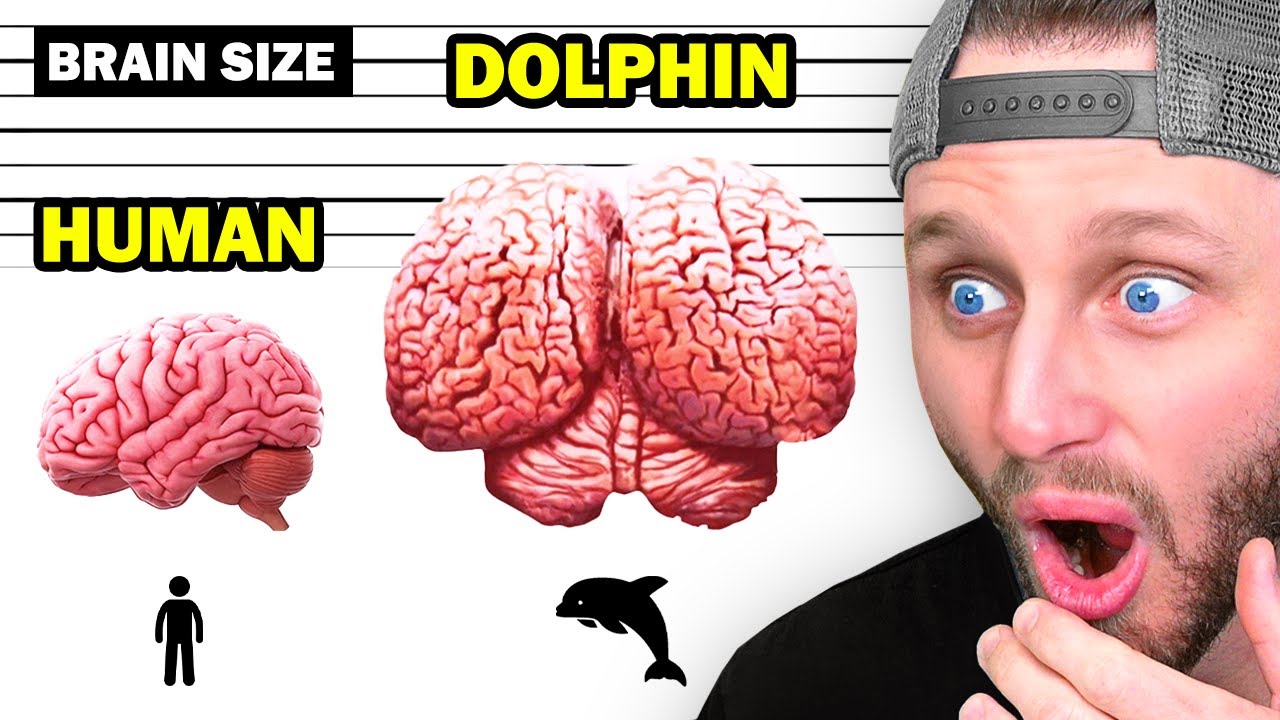 Amazing Facts That Will Blow Your Mind 🧠 - YouTube