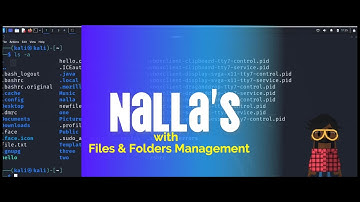 Kali Linux Commands: The Complete Beginner