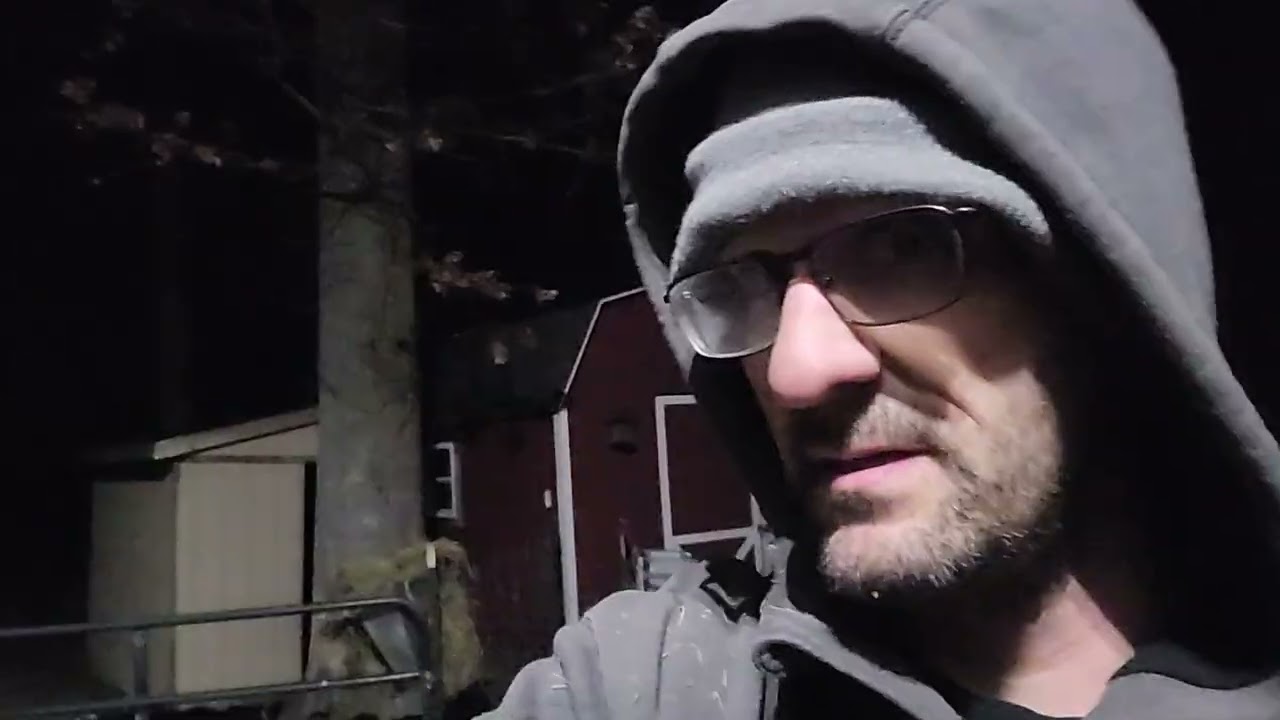 С Новым 2025 годом!