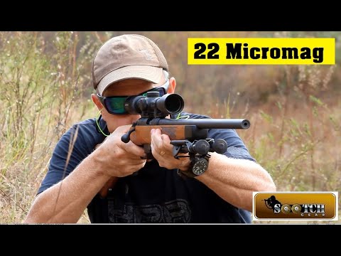 Rock Island Armory M22 22 TCM Rifle : 22 Micromag!