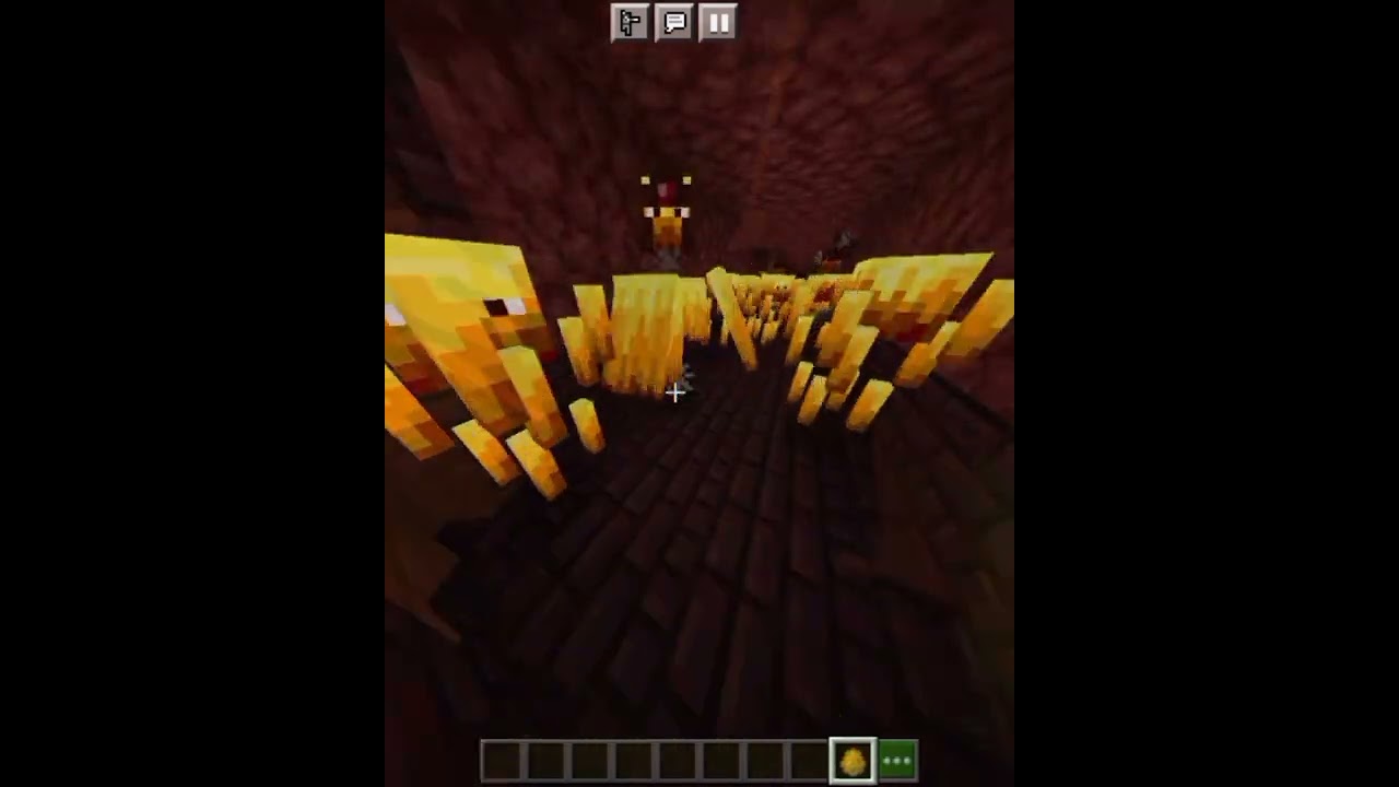 MINECRAFT TWO DIFFERENT TYPES OF MOB 