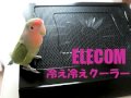 ELECOMのノートPC用　冷え冷えクーラー　冷却ファン使いました。