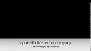 Zambian Nyanja 101 screenshot 5