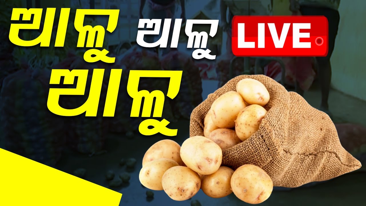 ????Live | ପୁଣି ଆଳୁ ଅଭାବ | Potato Crisis | Potato | Cuttack