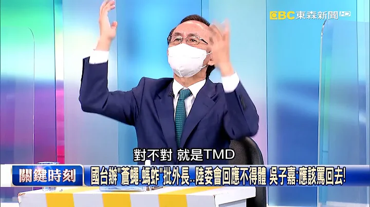 如蒼蠅嗡嗡叫？國台辦1300字狂罵吳釗燮嗆台獨 超怕台灣加入CPTTP！【關鍵時刻】吳子嘉 - 天天要聞