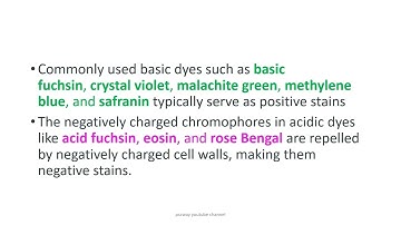 JSA topic Microbiology MCQs part 1: Microscopy & Staining techniques
