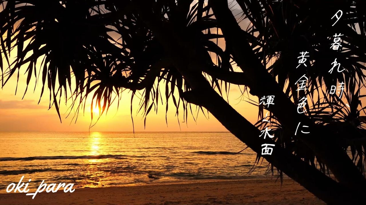 沖縄】「夕暮れ時の木々のシルエット 黄金色に輝く水面」波音/癒やし