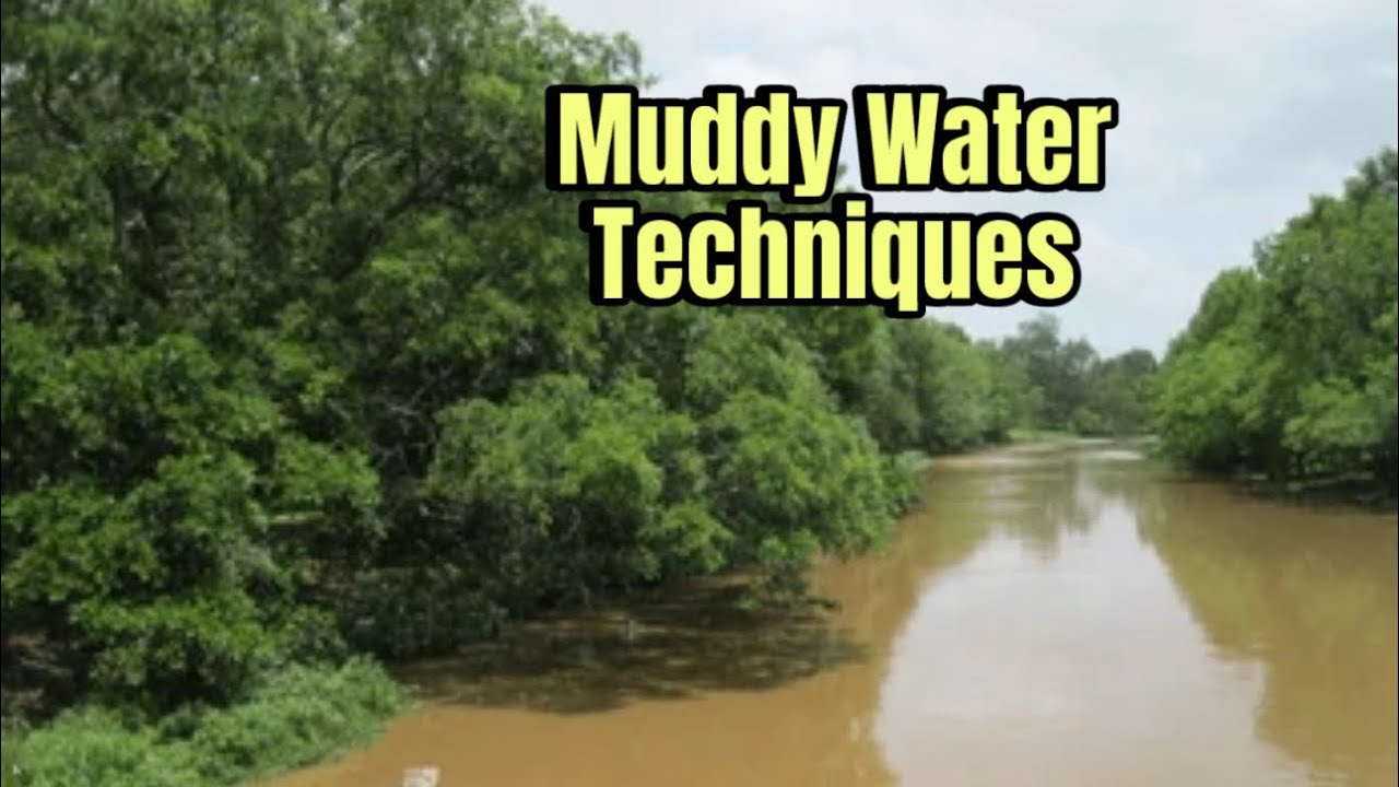 Advanced Techniques For Muddy Water Bass Fishing