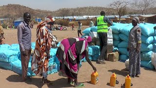 Chad hosts over 680,000 Sudanese refugees