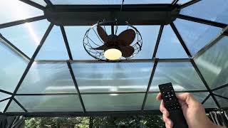 LEDIARY 20 Outdoor Ceiling Fan with Lights